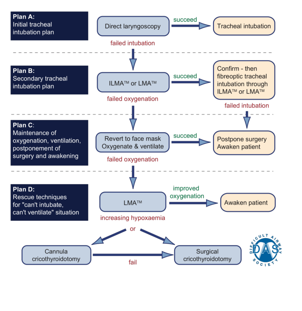 Failed Intubation Algorithm